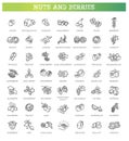 web icons collection - nuts and berries. Vector symbols