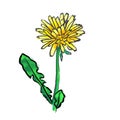 Web icons, flower vector, dandelion