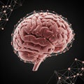 A web like structure around the brain symbolizing connectivit Royalty Free Stock Photo