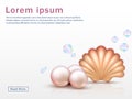 Web page template with realistic shell and pearls and colorful bubbles. Vector seashell background