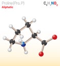 Proline (Pro, P) proteinogenic amino acid molecule. (Chemical formula C5H9NO2)