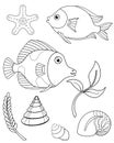 Set of aquarium or tropical fish, plants and mollusks for coloring. Vector linear pictures with fish, starfish algae and shells. Royalty Free Stock Photo