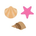 Set of shell, conch and starfish vector illustration