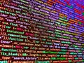 Web site codes on computer monitor. Writing programming functions on laptop. Programmer developer screen. Digital abstract bits Royalty Free Stock Photo