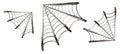 Web spider cobweb icons set. Outline illustration of 3 web spider cobweb icons for web Royalty Free Stock Photo