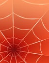 Web Spider Graphic design pattern outline for net structure Abstract shape wallpaper Illustration vector