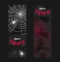 Web spider pattern vector spidery halloween background spiderweb cobweb horror illustration backdrop set of spider-web