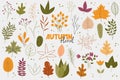 Stylish floral autumn stickers set.