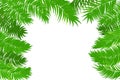Summer jungle palm leaf frame