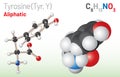 Tyrosine (Trp, W) amino acid molecule. (Chemical formula C9H11NO3) Royalty Free Stock Photo