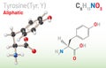 Tyrosine (Trp, W) amino acid molecule. (Chemical formula C9H11NO3)