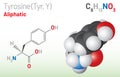 Tyrosine (Trp, W) amino acid molecule. (Chemical formula C9H11NO3) Royalty Free Stock Photo