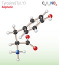 Tyrosine (Trp, W) amino acid molecule. (Chemical formula C9H11NO3)