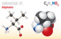 Valine (Val, L) amino acid molecule. (Chemical formula C5H11NO2)