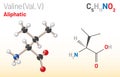 Valine (Val, L) amino acid molecule. (Chemical formula C5H11NO2)