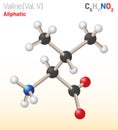 Valine (Val, L) amino acid molecule. (Chemical formula C5H11NO2)