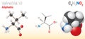 Valine (Val, L) amino acid molecule. (Chemical formula C5H11NO2)