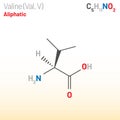 Valine (Val, L) amino acid molecule. (Chemical formula C5H11NO2)