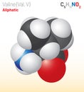 Valine (Val, L) amino acid molecule. (Chemical formula C5H11NO2)
