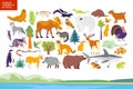 Vector flat illustration of North America landscape, animals, plants