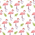 Vector flat tropical seamless pattern with hand drawn jungle monstera plants flamingo birds isolated on white background. Royalty Free Stock Photo