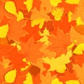 Vector illustration of a pattern of golden autumn leaves. Seamless forest pattern. Royalty Free Stock Photo