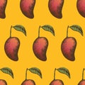 Vector seamless pattern with mangoes fruits pop art. Hand drawn Thai mango on yello Royalty Free Stock Photo