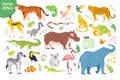 Vector set of flat hand drawn tropical animals, birds, reptiles, plants isolated on white background: tiger, zebra, koala, alligat Royalty Free Stock Photo