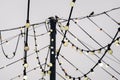 Web of wires of festive lighting with vintage light bulbs on the background of the cloudy sky in the evening