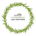 Wreath of rosemary branches. Vector illustration of herbs.