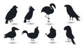 Webbed feet Stock Vectors silhouettes