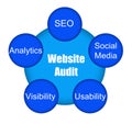 Website audit