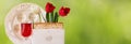 Website banner background of Pesah celebration concept (jewish Passover holiday)