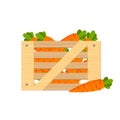 Wooden box with carrot. Harvesting vegetables. Flat illustration vector.