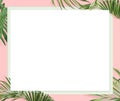 Website banner with pink background, euclidean and palm leaves border