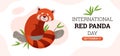 Website banner template about international red panda day flat style