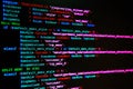 Website Programming Language