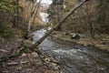 Webster`s Falls in Southern Ontario