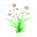 Watercolor pink flowers on a background of green grass Royalty Free Stock Photo