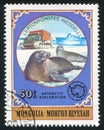 Weddel Seals