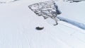 Weddell seal rest antarctica snow aerial view