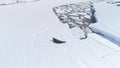 Weddell seal rest antarctica snow aerial view