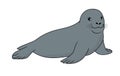 Weddell Seal vector illustration.Seal vector stock image