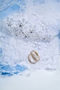 Enagement Rings And Fabric Royalty Free Stock Photo