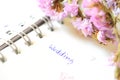 Wedding agenda Royalty Free Stock Photo