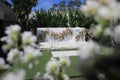 wedding altar and row of brown and white chairs shot at low angle prepared on the beautiful park or garden Royalty Free Stock Photo