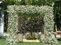 wedding altar and row of brown and white chairs shot at low angle prepared on the beautiful park or garden Royalty Free Stock Photo