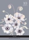 Wedding anemone white flowers tender soft bloom greeting card on blue background. Modern watercolor illustration tender 3d in