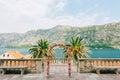 Wedding Arch of hydrangeas and roses. Wedding ceremony in the Ba Royalty Free Stock Photo