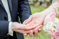 Wedding attributes in detail Royalty Free Stock Photo